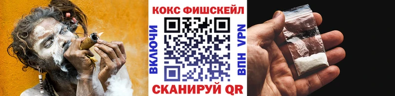 omg как войти цена Светлогорск КОКАИН Columbia