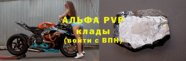 индика Белокуриха