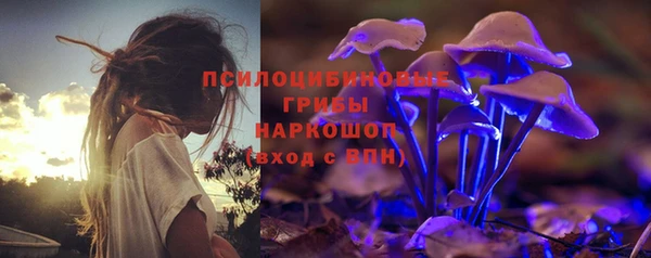 индика Белокуриха