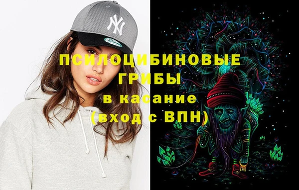 индика Белокуриха