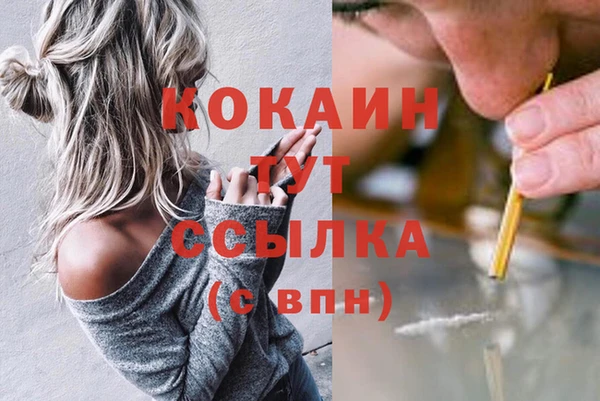 индика Белокуриха