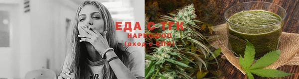 индика Белокуриха