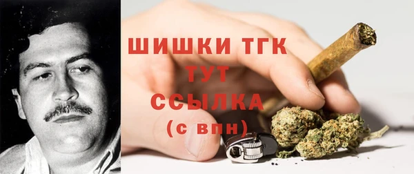 индика Белокуриха