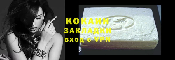 индика Белокуриха