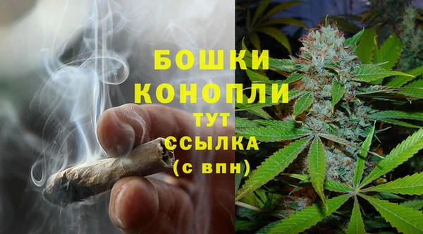 индика Белокуриха