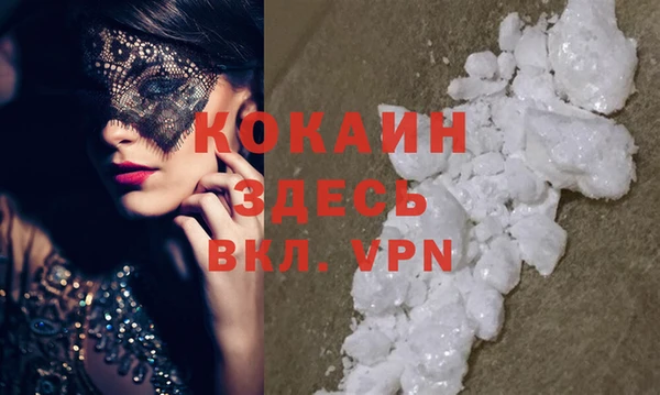 индика Белокуриха