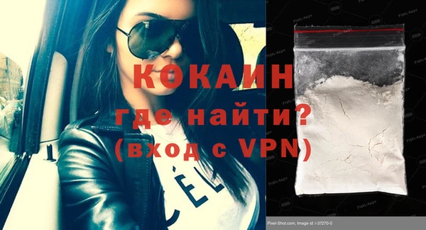 индика Белокуриха