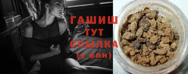 индика Белокуриха