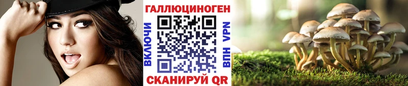 MEGA ТОР  где можно купить наркотик  Светлогорск  Галлюциногенные грибы мухоморы 